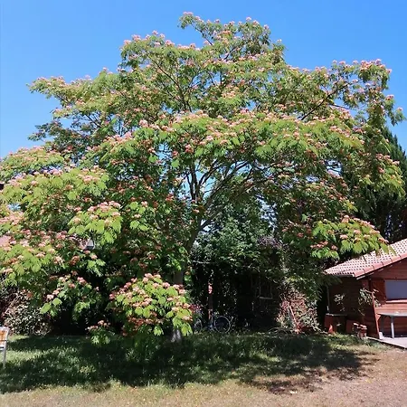 Landes Oceanes - Maison Et Jardin